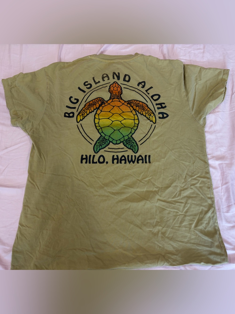 Big Island Aloha Hilo Hawaii Kids Green T-Shirt with Turtle Graphic
